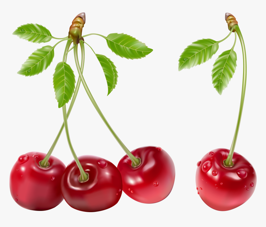 Cherry Png , Png Download, Transparent Png, Free Download