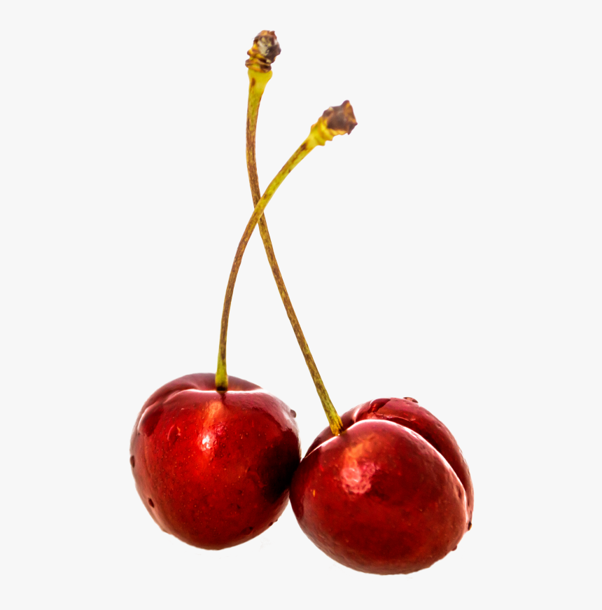 Cherry Png Image, Transparent Png, Free Download