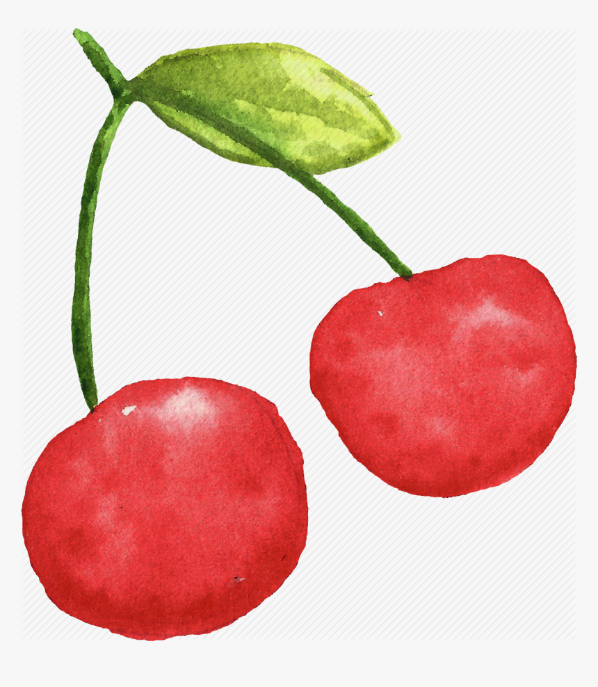 Cherry, Cuisine, Food, Fruit, Fruits, Watercolor, Watercolors, HD Png Download, Free Download