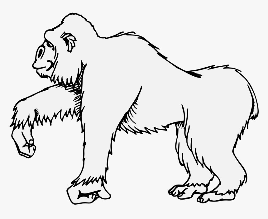 Gorilla Png, Transparent Png, Free Download