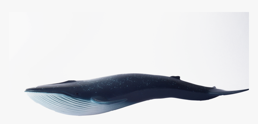 Whale Blue Swimming Png Image, Transparent Png, Free Download