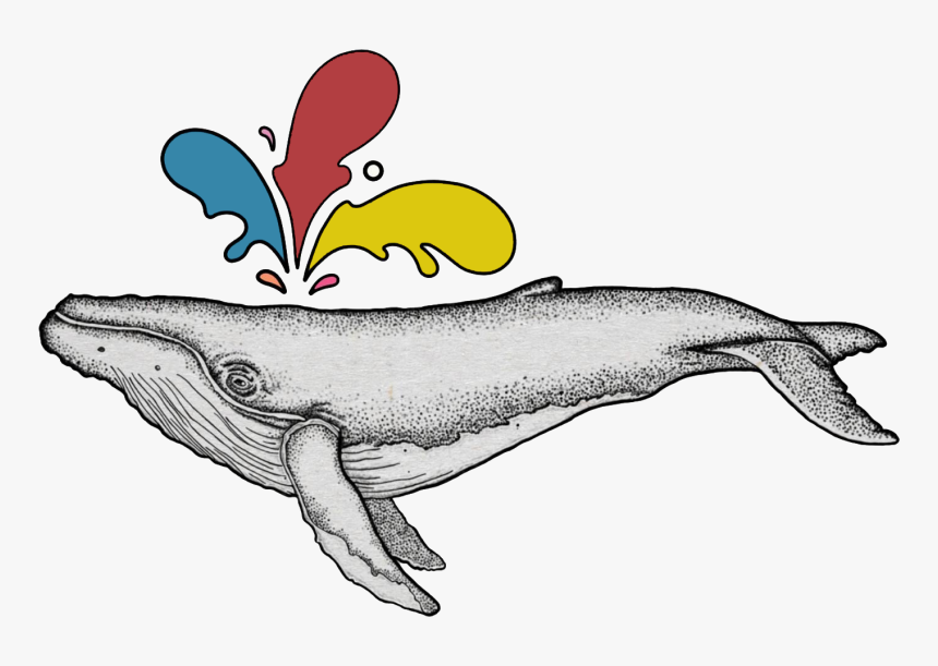 Whale Png, Transparent Png, Free Download