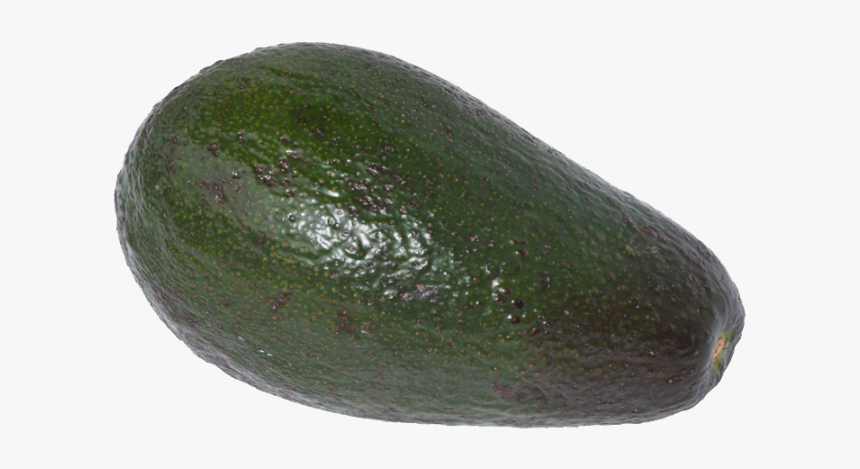 Avocado Png Image, Transparent Png, Free Download