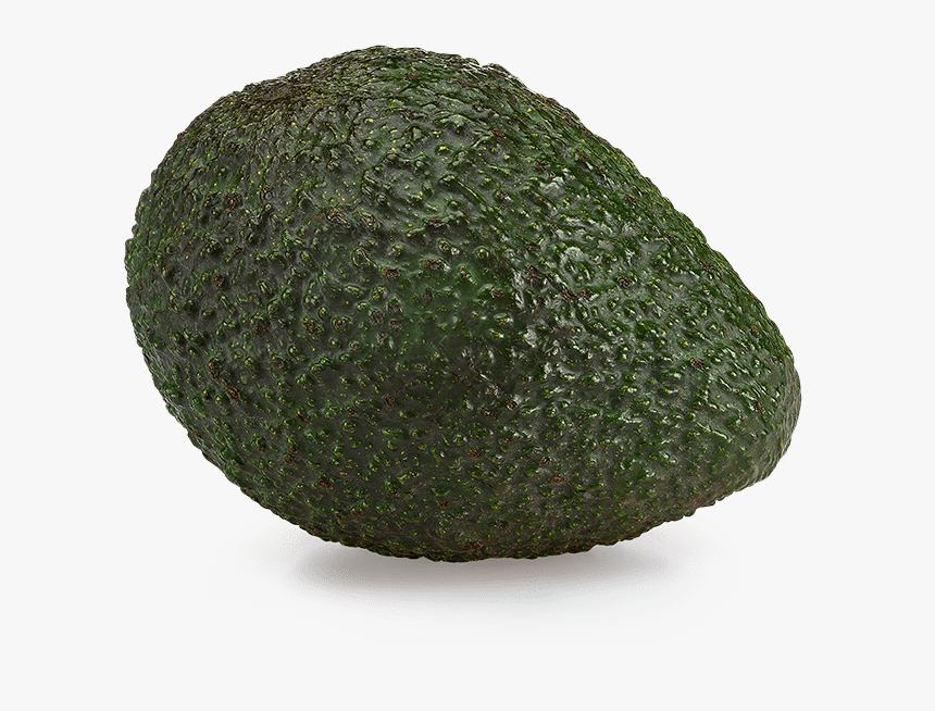 Avocado Png, Transparent Png, Free Download