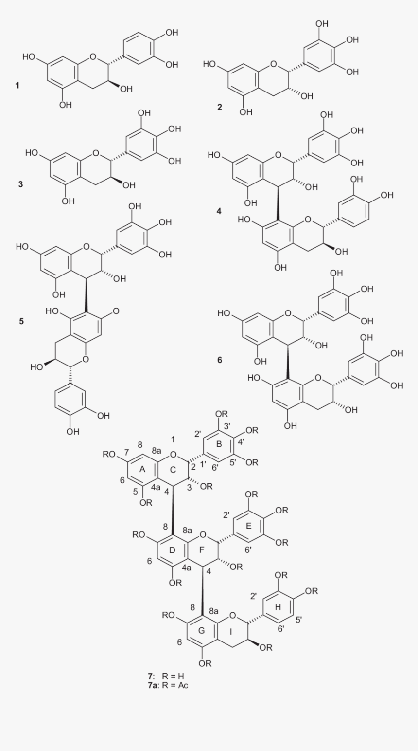 Chemical Structures Of The Isolated Compounds From, HD Png Download, Free Download