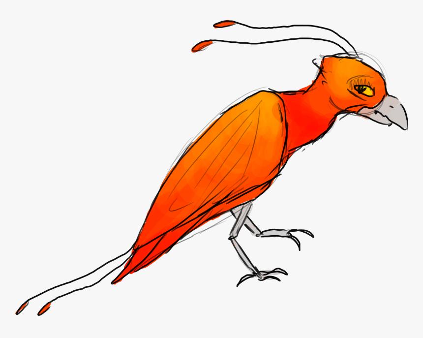 A Complete History, HD Png Download, Free Download