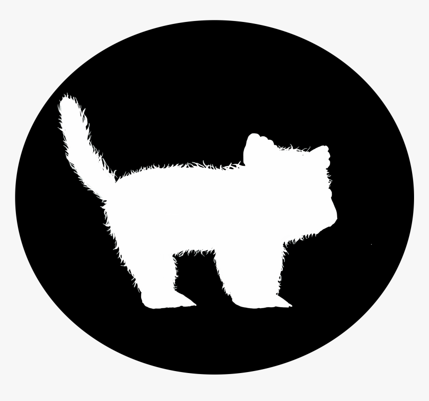 Kitten , Png Download, Transparent Png, Free Download
