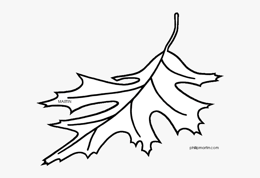 Red Oak Tree Leaves Clipart, HD Png Download, Free Download