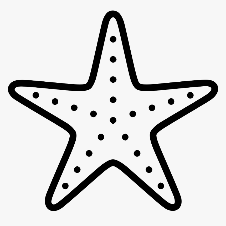 Starfish, HD Png Download, Free Download