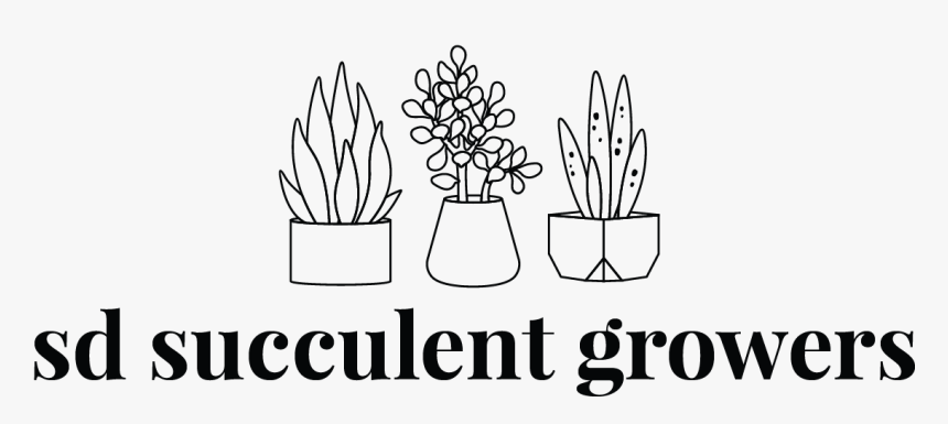 Succulent Png, Transparent Png, Free Download