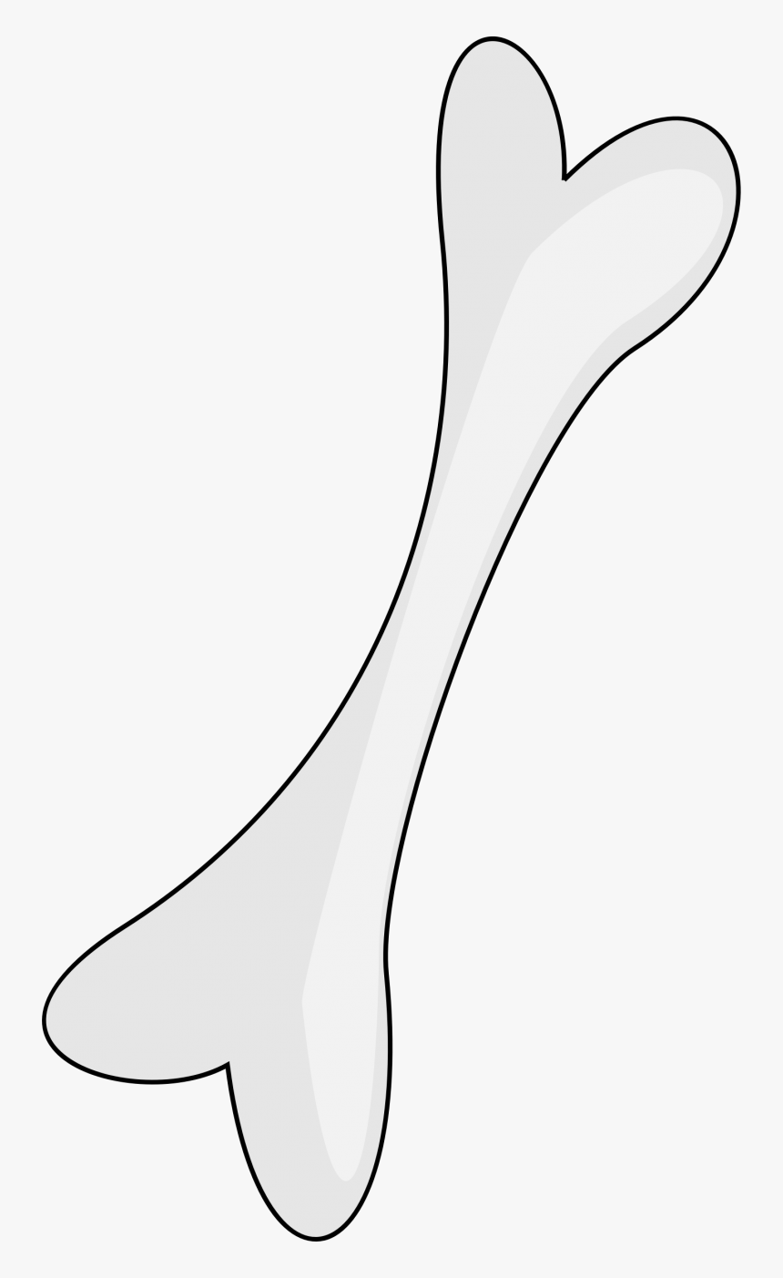 Bone Png, Transparent Png, Free Download