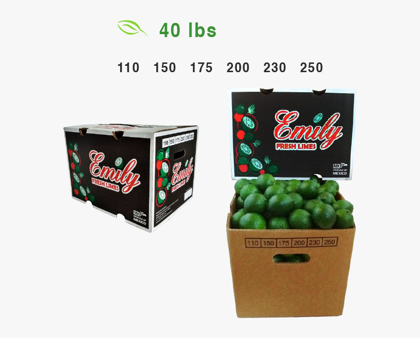 Ademy Fresh Limes, HD Png Download, Free Download