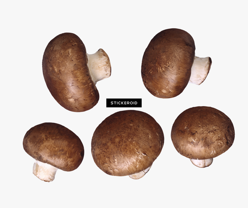 Mushroom , Png Download, Transparent Png, Free Download