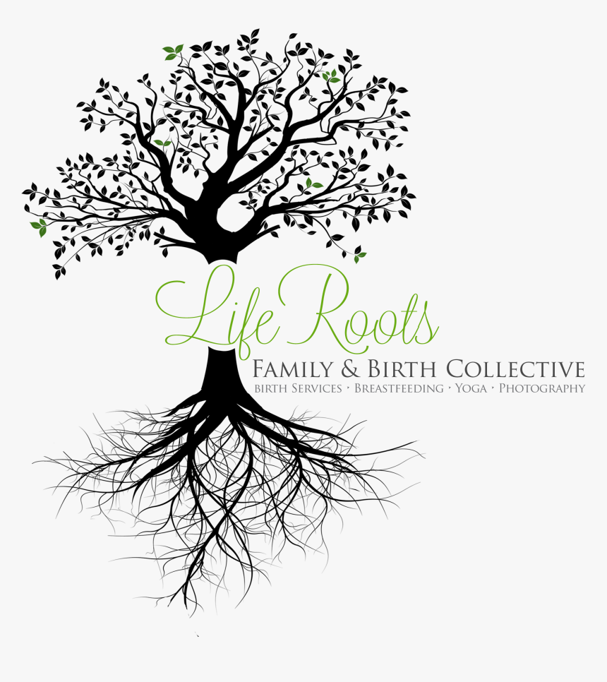 Tree With Roots Transparent Background Clipart , Png, Png Download, Free Download