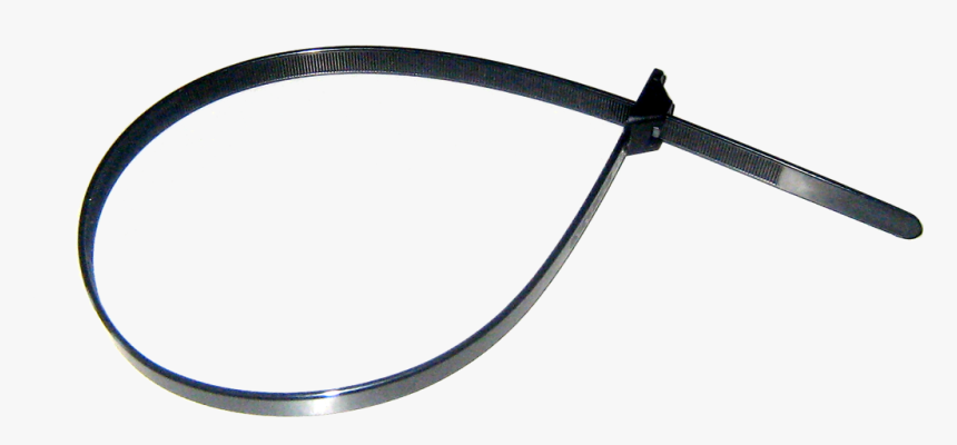 Tie Png, Transparent Png, Free Download