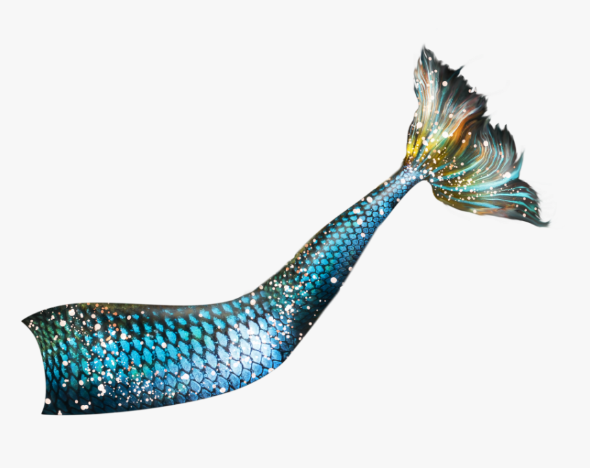 Mermaid Tail Png, Transparent Png, Free Download