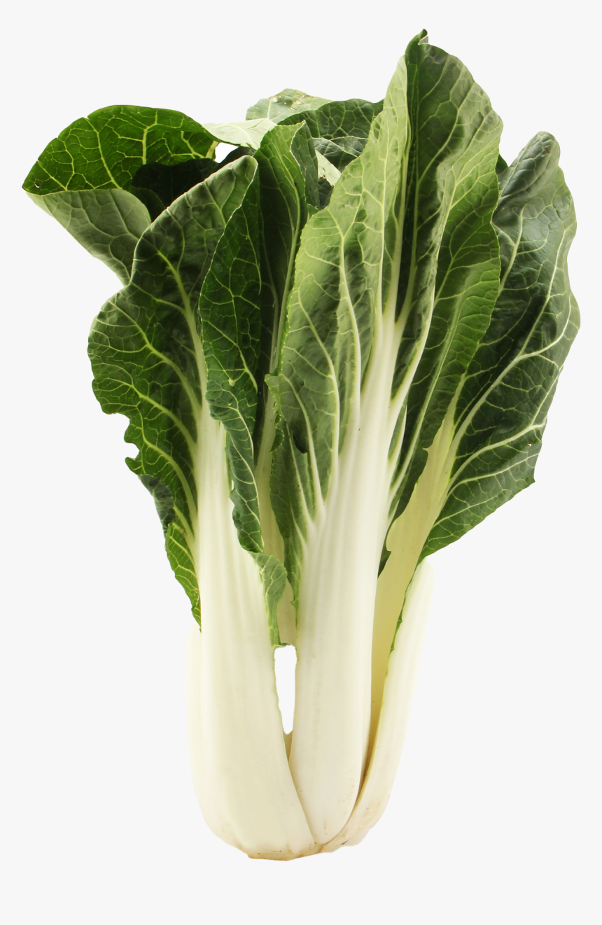 Bok Choy Png Free Picture, Transparent Png, Free Download