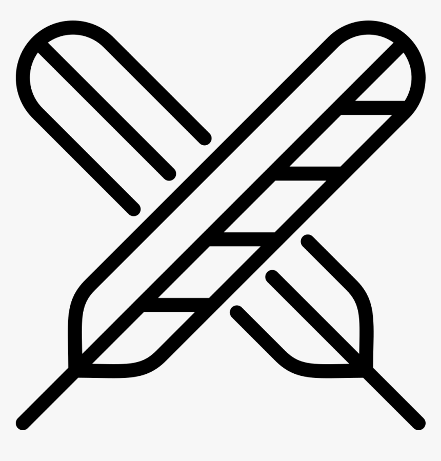 Feathers, HD Png Download, Free Download