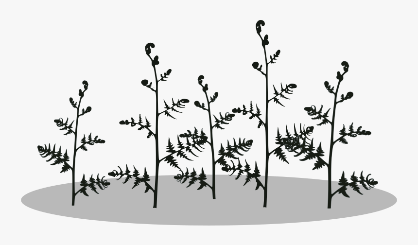 Fern-silhouette, HD Png Download, Free Download