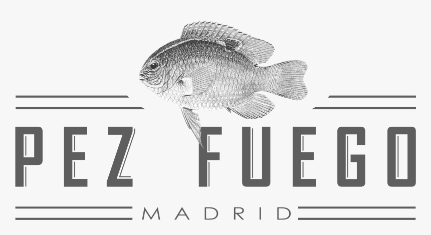 Fuego Png, Transparent Png, Free Download