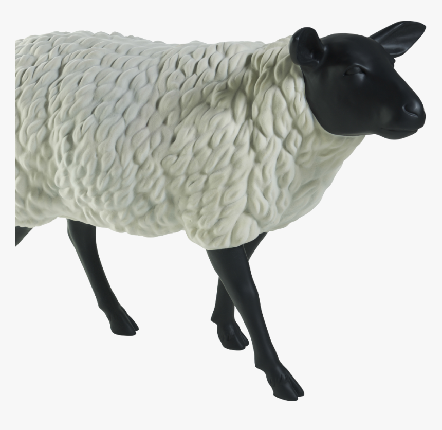 Sheep , Png Download, Transparent Png, Free Download