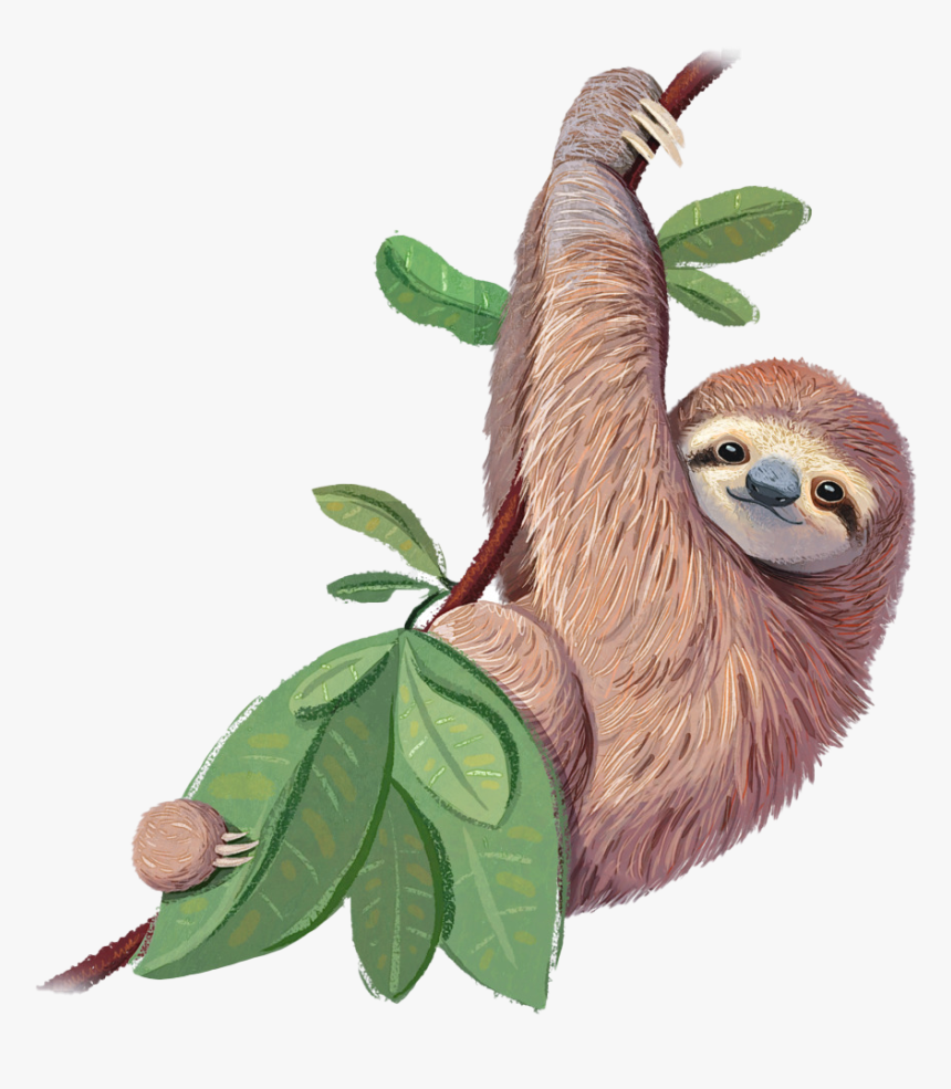 Toed Sloth Png Free Image Download, Transparent Png, Free Download