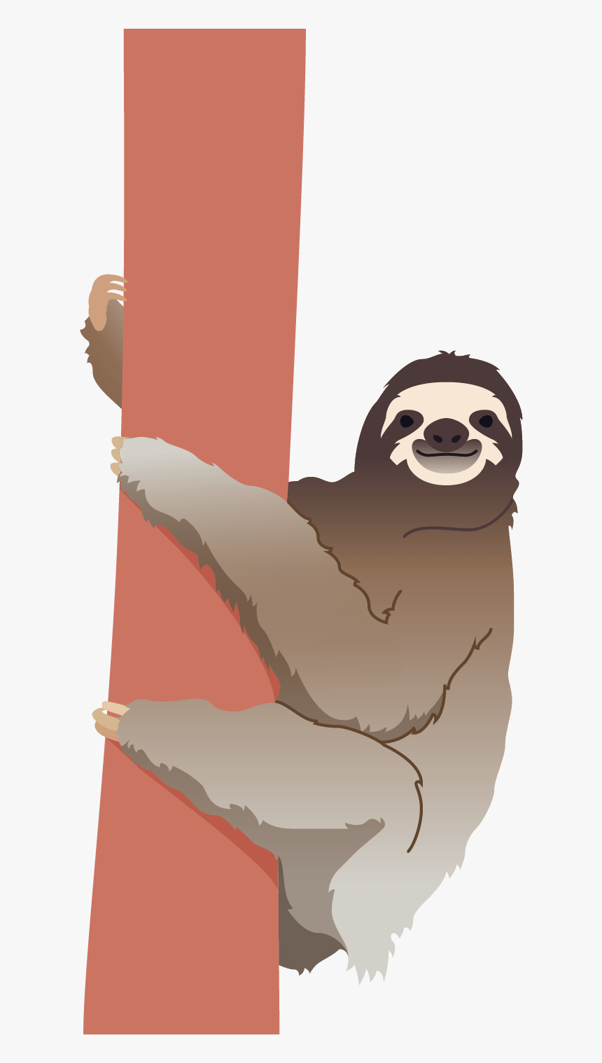 Sloth Png, Transparent Png, Free Download