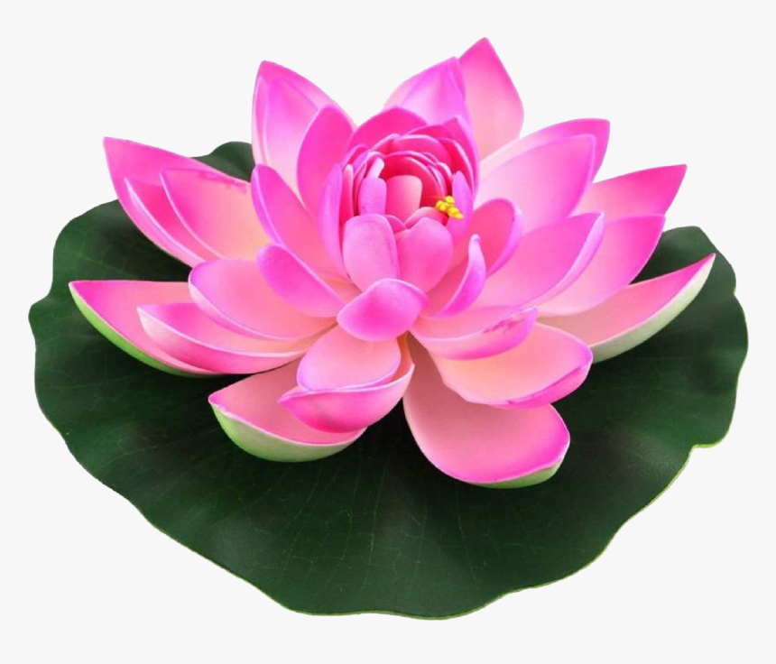 Lotus Flower Png Hd Image, Transparent Png, Free Download
