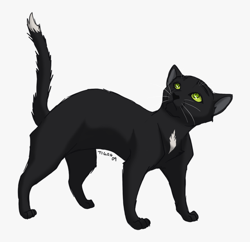 Drawn Black Cat Warrior Cat, HD Png Download, Free Download