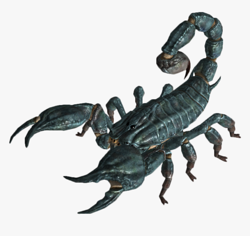 Scorpion Png Image, Transparent Png, Free Download