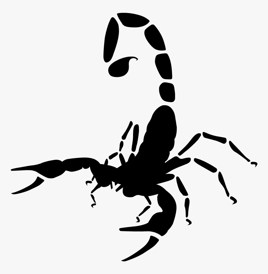 Scorpion Png, Transparent Png, Free Download
