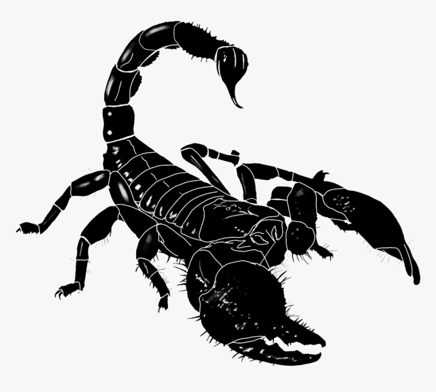 Скорпион голос проект