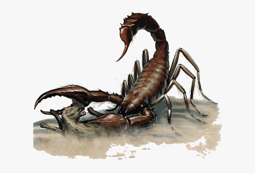 Dnd 5e Giant Scorpion , Png Download, Transparent Png, Free Download