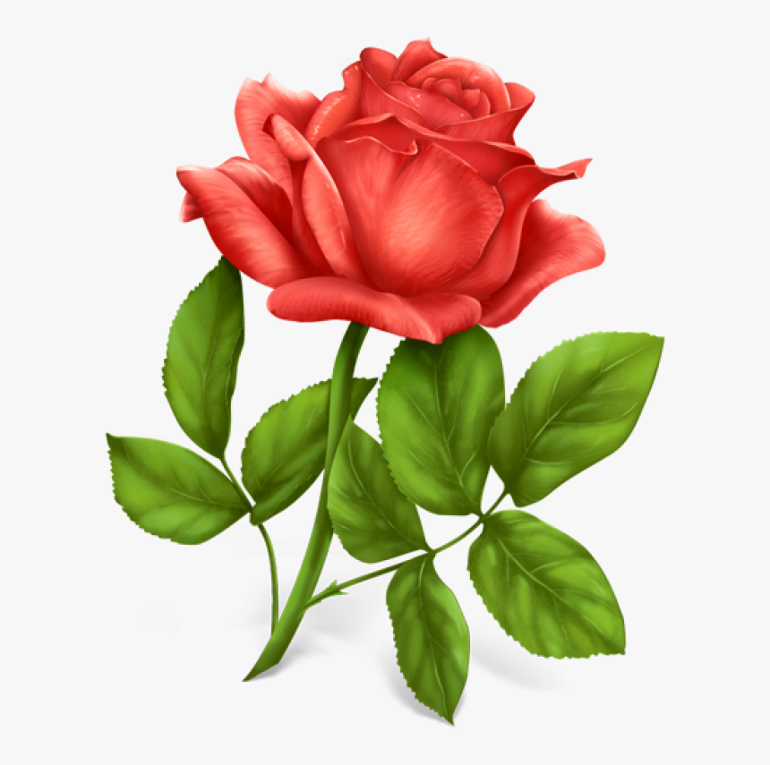 Pink Rose Png Image, Transparent Png, Free Download