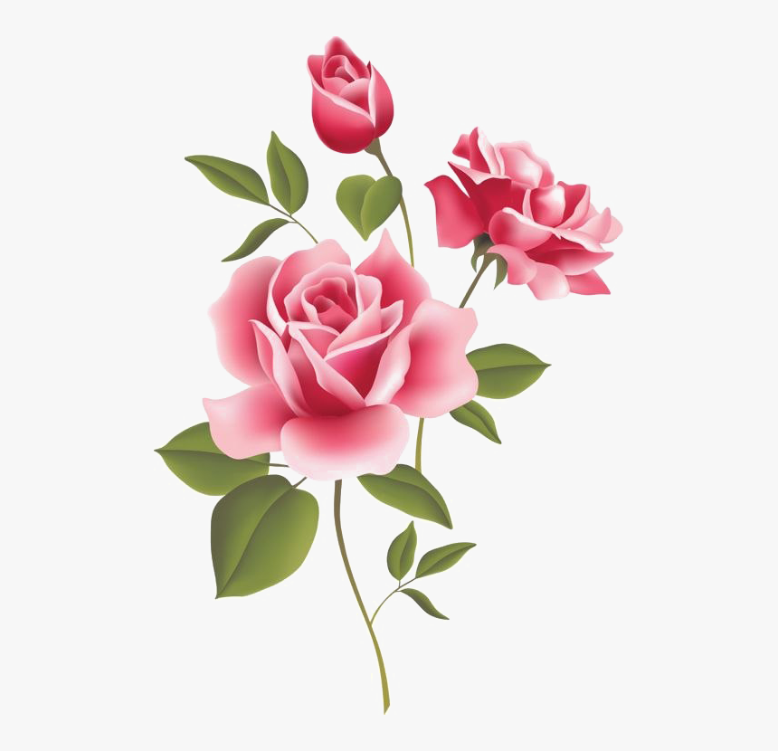 Transparent Pink Roses Png, Png Download, Free Download