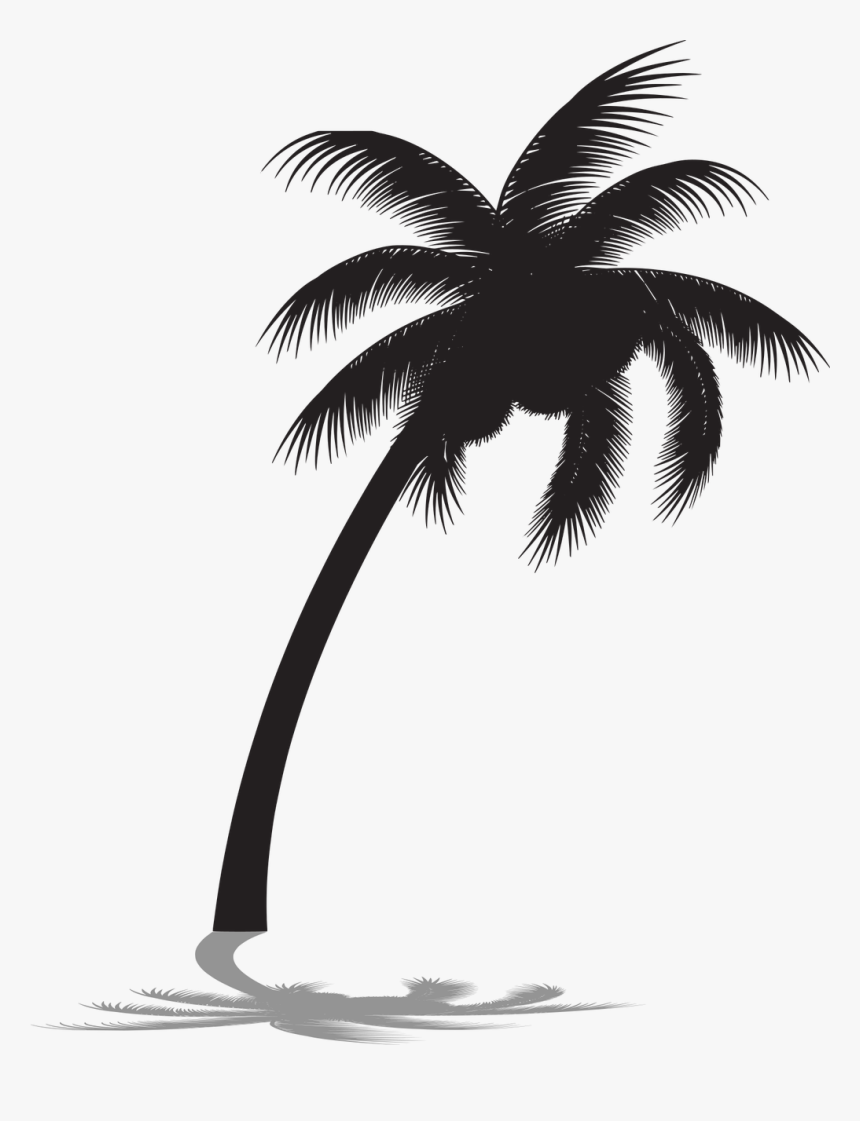 Palm Tree Silhouette Png, Transparent Png - kindpng.