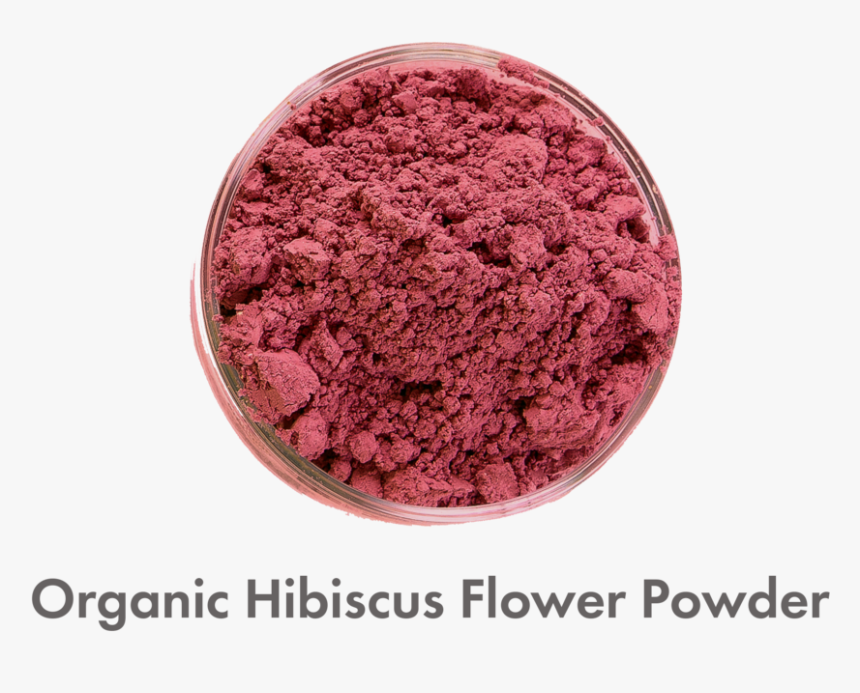 Hibiscus Png, Transparent Png, Free Download