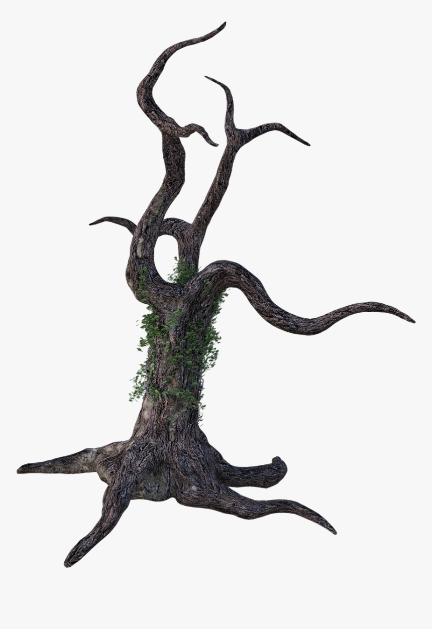 Dead Tree Png, Transparent Png, Free Download