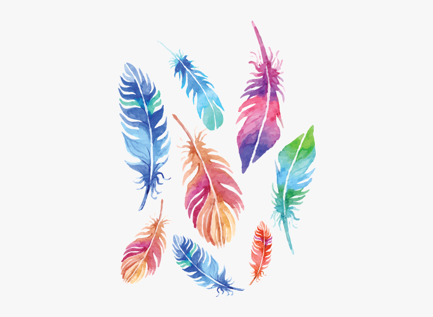Transparent Feathers Coloured, HD Png Download, Free Download