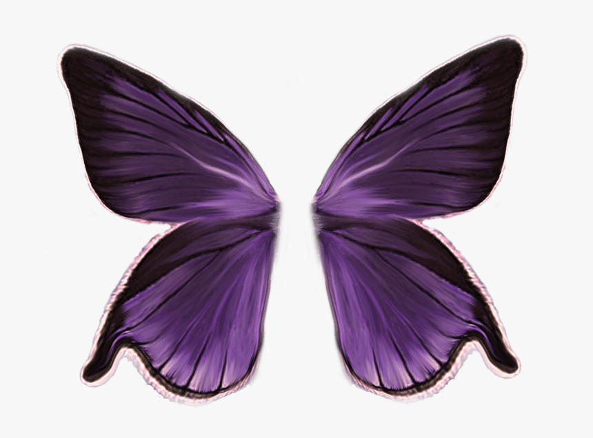 Fairy Wings Png, Transparent Png, Free Download