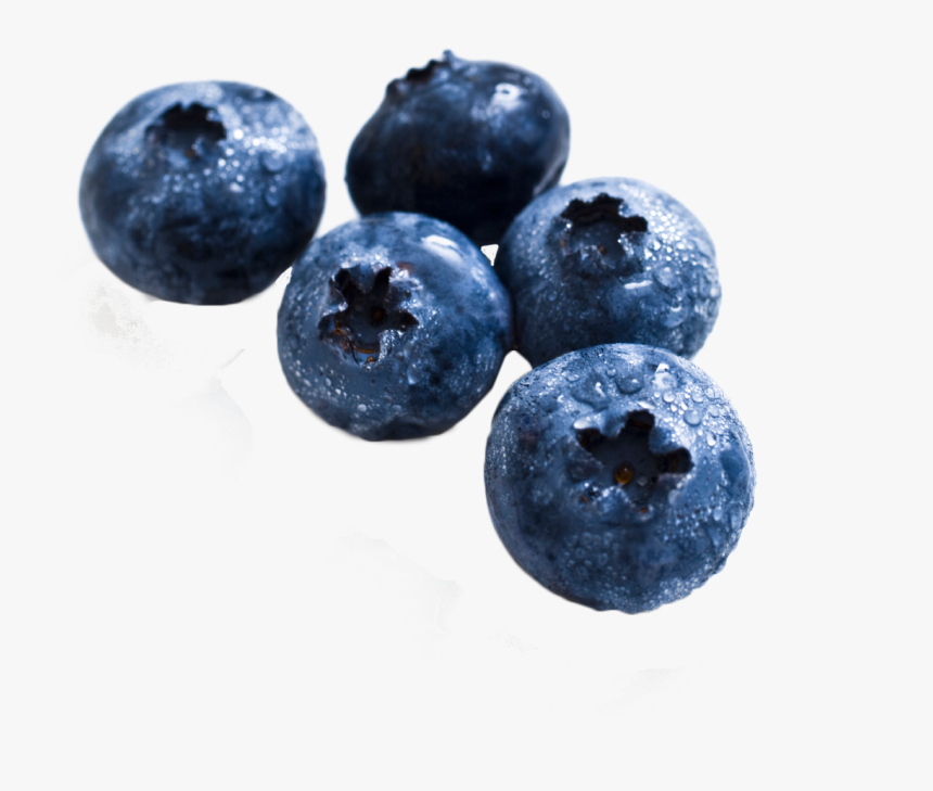Blueberry Png Image, Transparent Png, Free Download