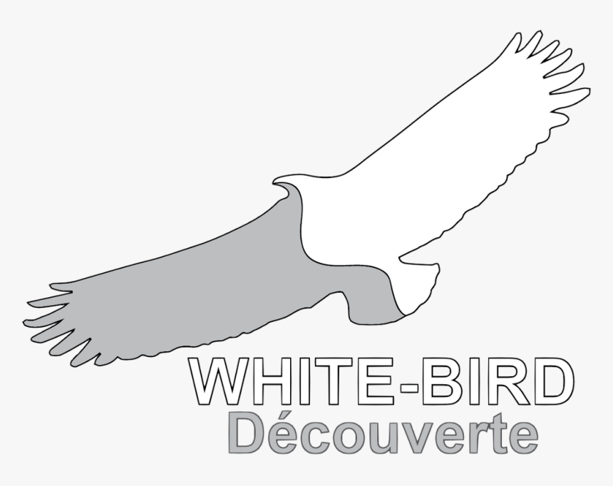 Transparent White Bird Png, Png Download, Free Download