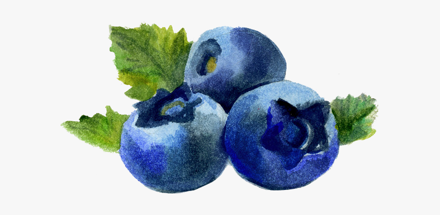 Blueberry Png Images Download, Transparent Png, Free Download