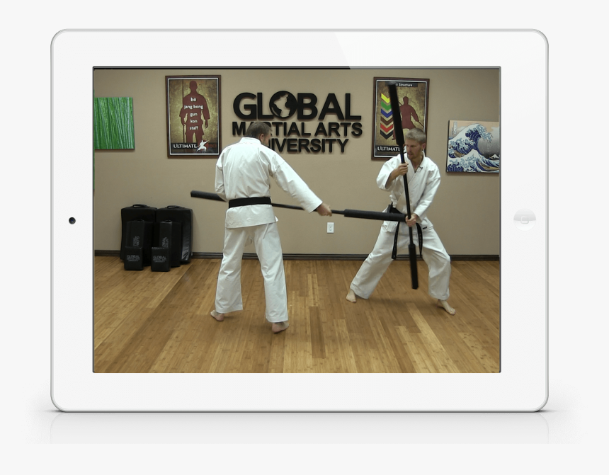 Includes A Complete White To Black Belt Level Course, HD Png Download, Free Download