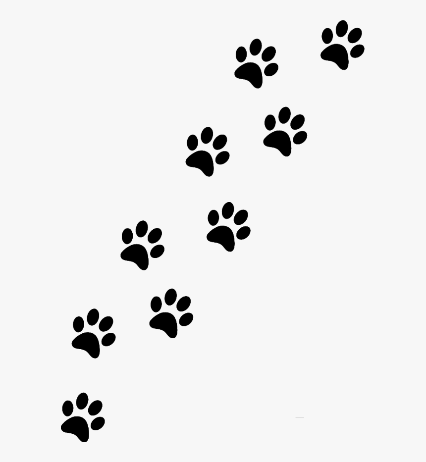 Paw , Png Download, Transparent Png, Free Download