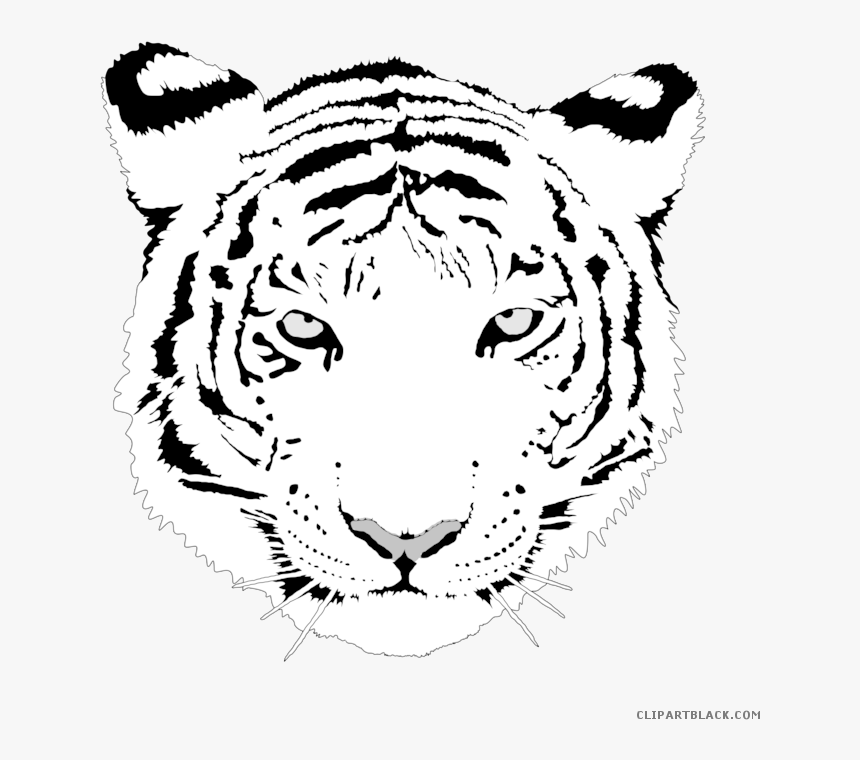 Transparent Cute Tiger Clipart, HD Png Download, Free Download