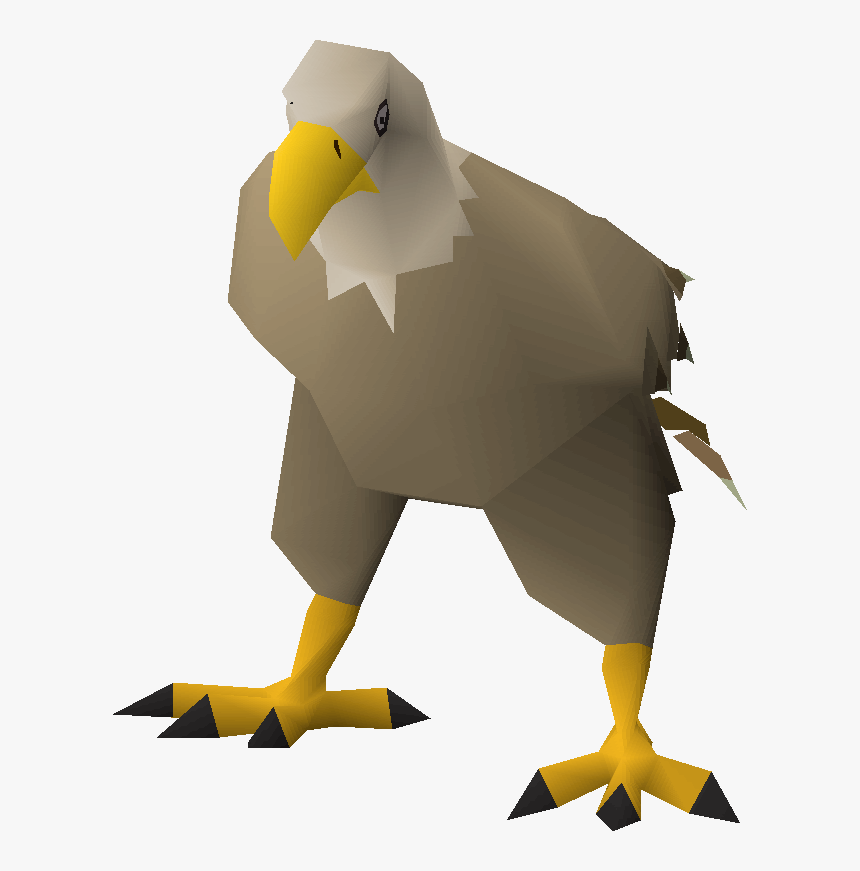 Bald Eagle , Png Download, Transparent Png, Free Download