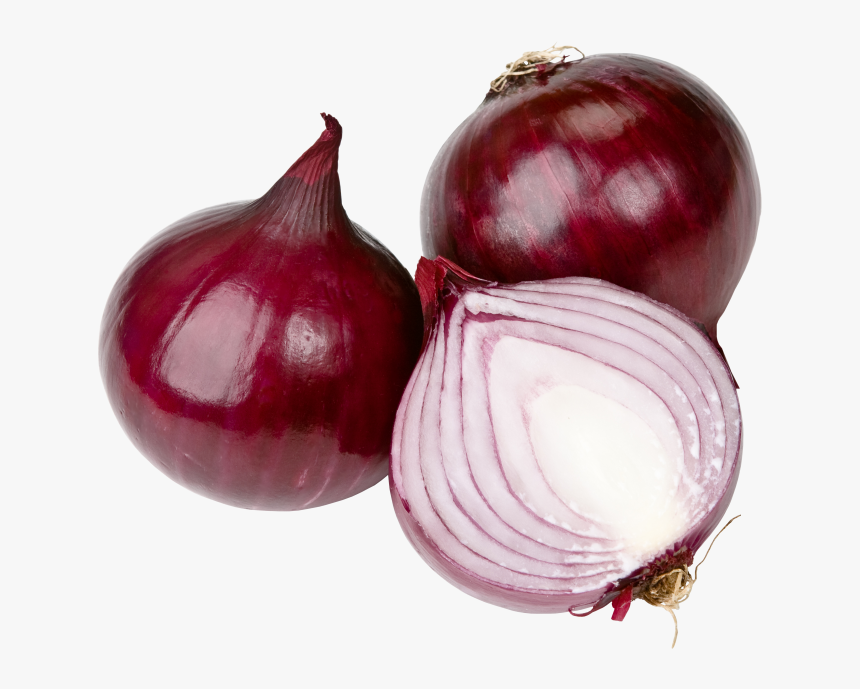 Fresh Onion , Png Download, Transparent Png, Free Download