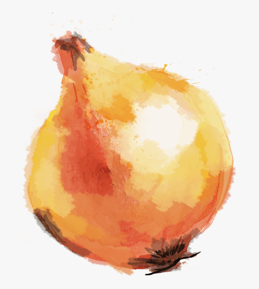 Onion, HD Png Download, Free Download