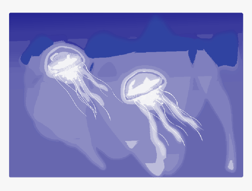 Jellyfish , Png Download, Transparent Png, Free Download